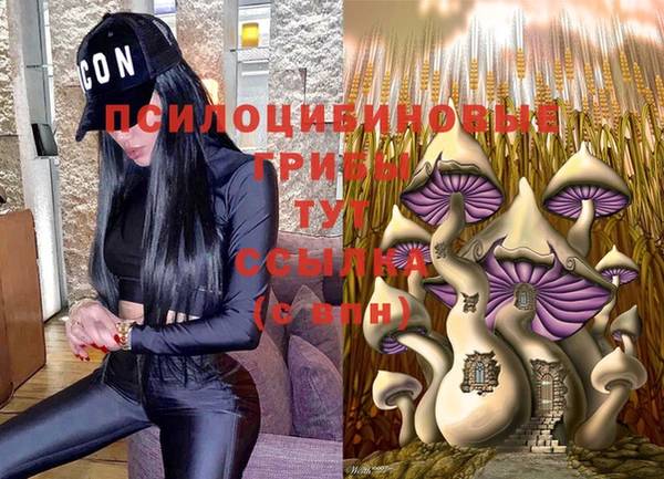 Альфа ПВП Балабаново
