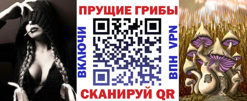 Галлюциногенные грибы Magic Shrooms  Бологое 